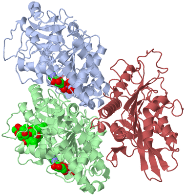 Image Asym./Biol. Unit