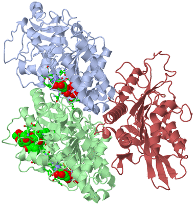 Image Asym./Biol. Unit - sites