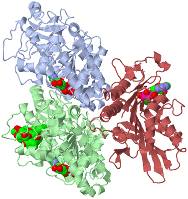 Image Asym./Biol. Unit