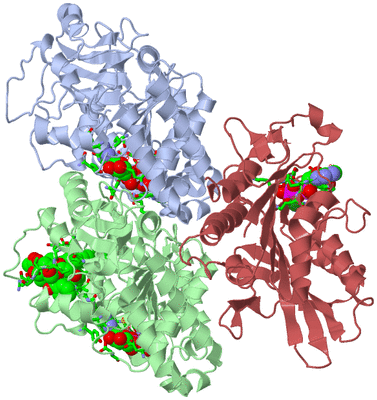 Image Asym./Biol. Unit - sites