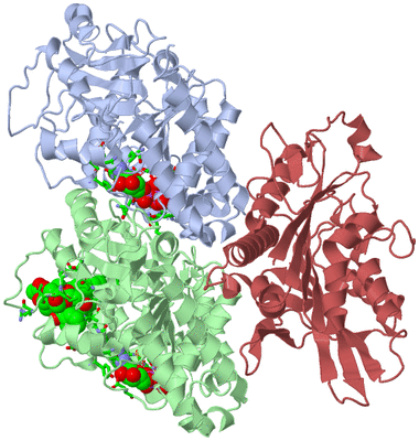 Image Asym./Biol. Unit - sites