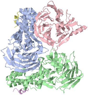 Image Asym./Biol. Unit