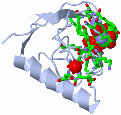 Image Biol. Unit 1 - sites