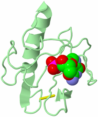 Image Biological Unit 2