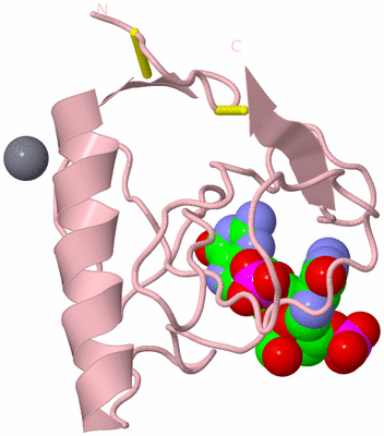 Image Biological Unit 3