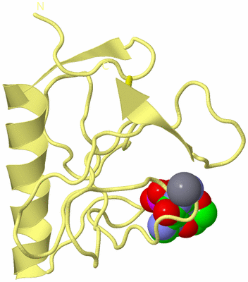 Image Biological Unit 4