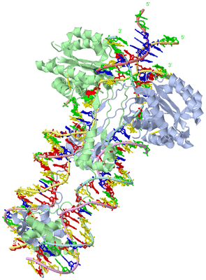 Image Asym./Biol. Unit