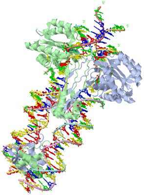 Image Asym./Biol. Unit - sites