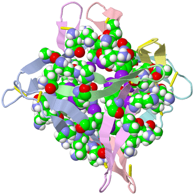 Image Biological Unit 1