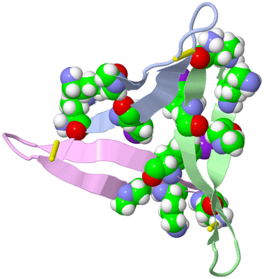 Image Biological Unit 2