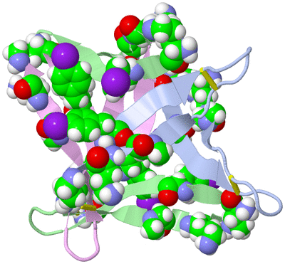 Image Biological Unit 3