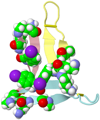 Image Biological Unit 4