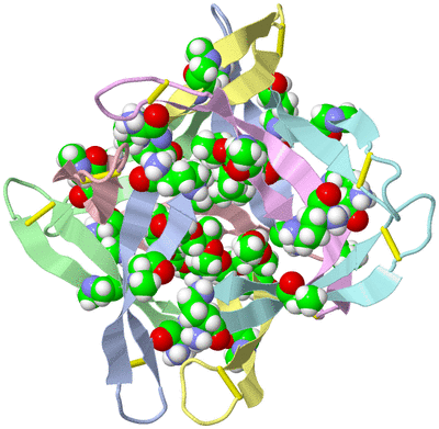 Image Biological Unit 1