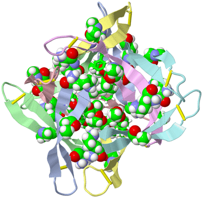 Image Biol. Unit 1 - sites