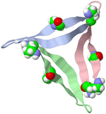 Image Biological Unit 2