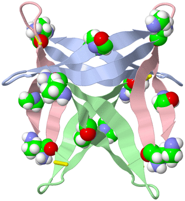 Image Biological Unit 3