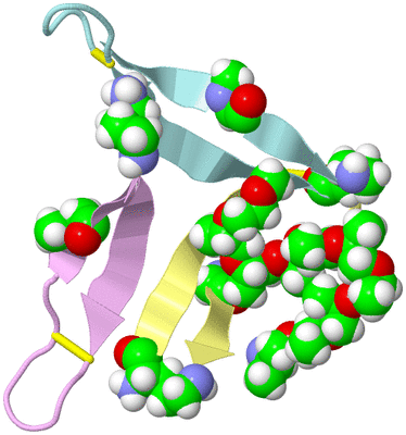 Image Biological Unit 4