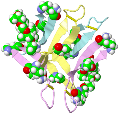 Image Biological Unit 5