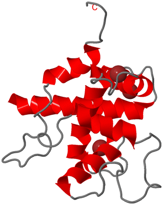 Image NMR Structure - model 1