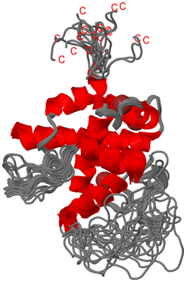 Image NMR Structure - all models