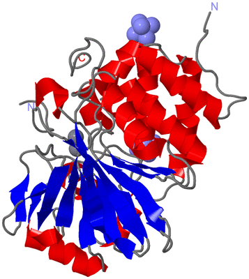 Image Asym./Biol. Unit