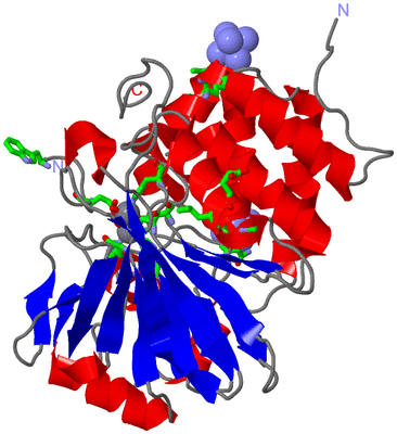 Image Asym./Biol. Unit - sites