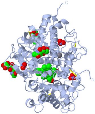 Image Biological Unit 1