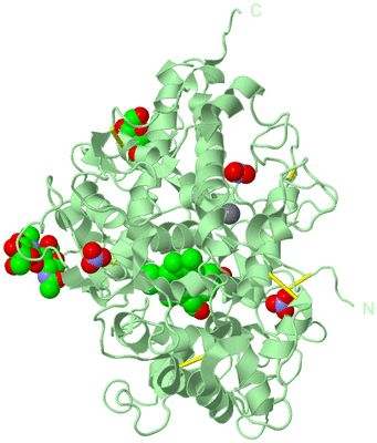 Image Biological Unit 2