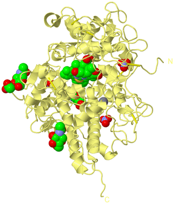 Image Biological Unit 4