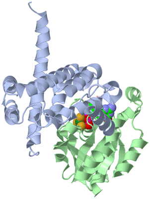 Image Biological Unit 1