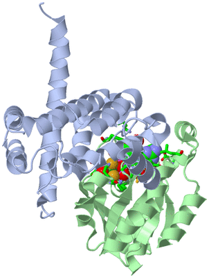 Image Biol. Unit 1 - sites