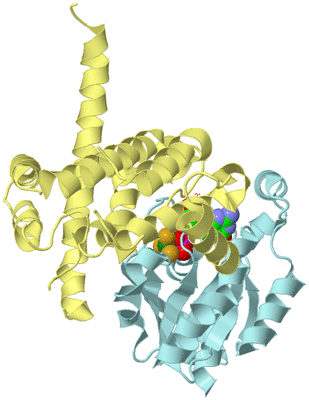 Image Biological Unit 2