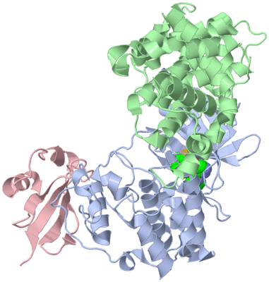 Image Asym./Biol. Unit