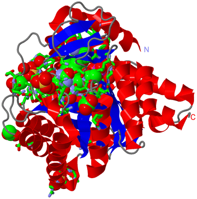 Image Asym./Biol. Unit - sites