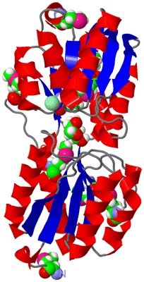 Image Asym./Biol. Unit