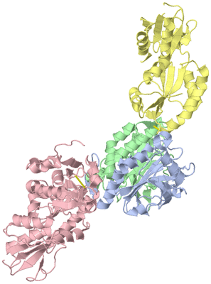 Image Asym./Biol. Unit