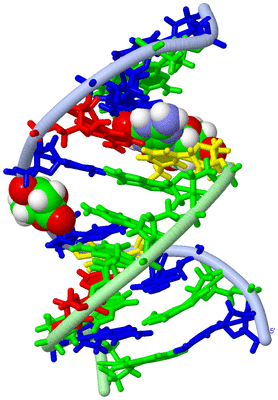 Image NMR Structure - model 1