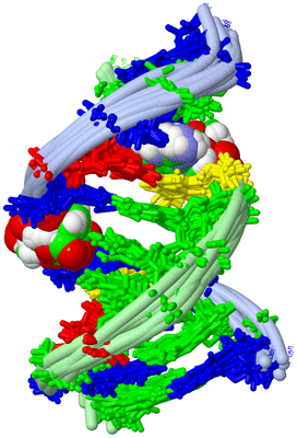 Image NMR Structure - all models