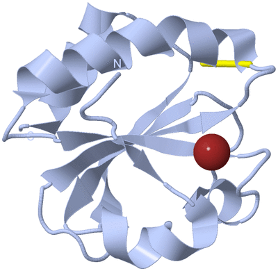 Image Biological Unit 1