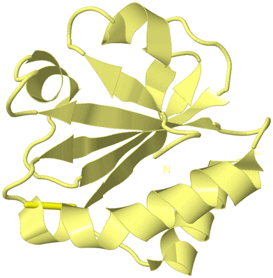 Image Biological Unit 4