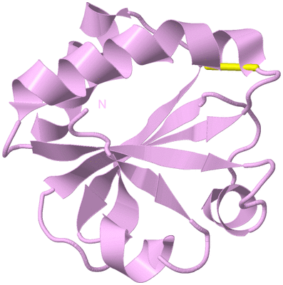 Image Biological Unit 5