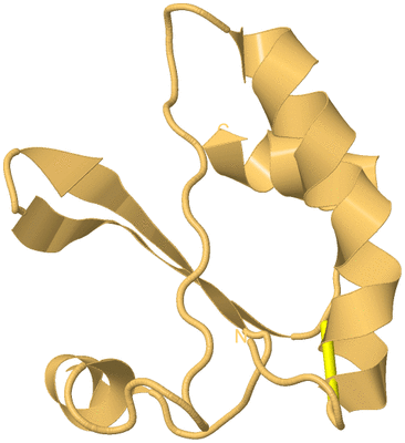 Image Biological Unit 7