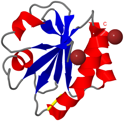 Image Asym./Biol. Unit