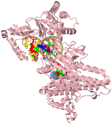 Image Biological Unit 1