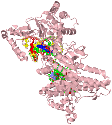 Image Biol. Unit 1 - sites