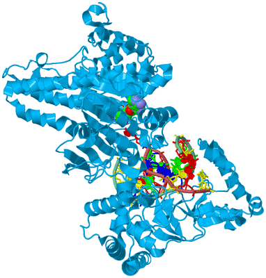 Image Biological Unit 2