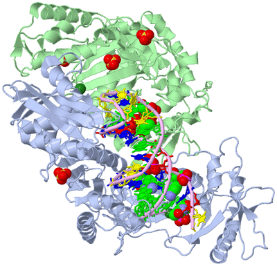 Image Biological Unit 1