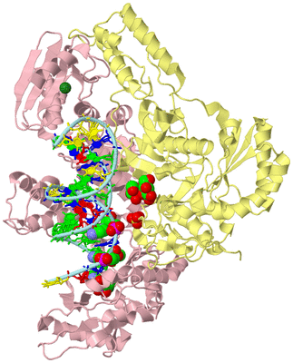 Image Biological Unit 2