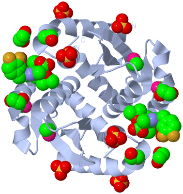 Image Biological Unit 1