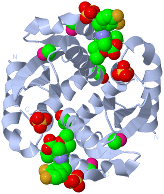 Image Biological Unit 1